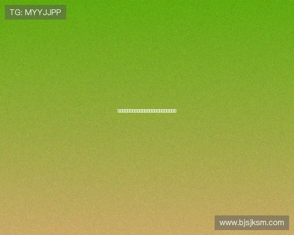 世界杯安保措施全面升级确保赛事安全和观众顺利观赛